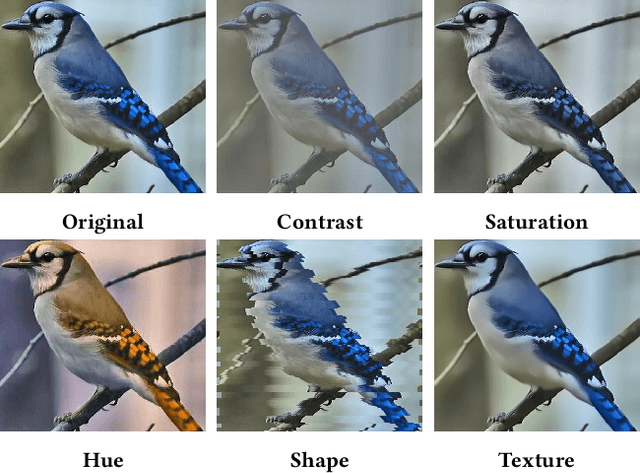 Figure 3 for This Looks Like That, Because ... Explaining Prototypes for Interpretable Image Recognition