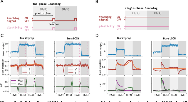 Figure 2 for Single-phase deep learning in cortico-cortical networks