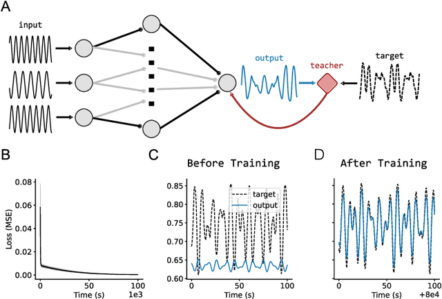 Figure 3 for Single-phase deep learning in cortico-cortical networks