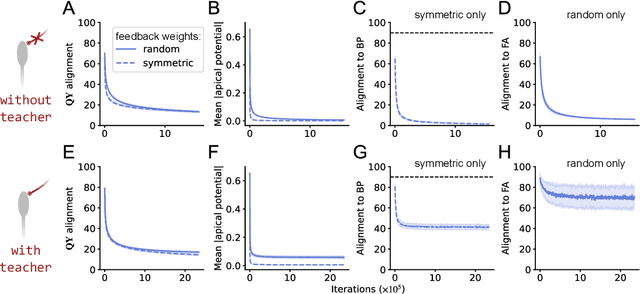 Figure 4 for Single-phase deep learning in cortico-cortical networks