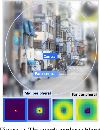 Figure 1 for Peripheral Vision Transformer