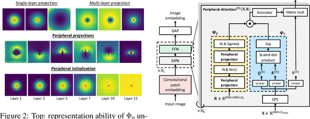 Figure 2 for Peripheral Vision Transformer