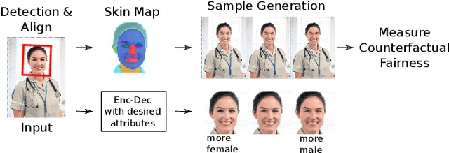 Figure 1 for Gender Slopes: Counterfactual Fairness for Computer Vision Models by Attribute Manipulation