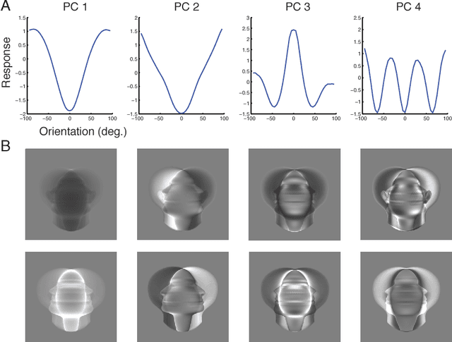 Figure 4 for View-tolerant face recognition and Hebbian learning imply mirror-symmetric neural tuning to head orientation