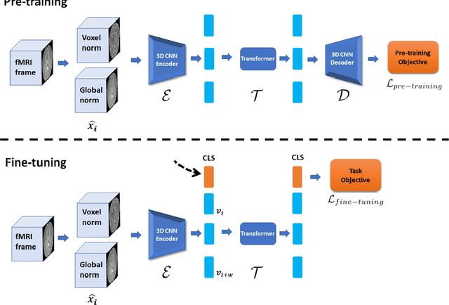Figure 1 for Pre-training and Fine-tuning Transformers for fMRI Prediction Tasks