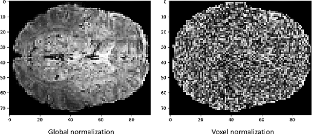 Figure 3 for Pre-training and Fine-tuning Transformers for fMRI Prediction Tasks