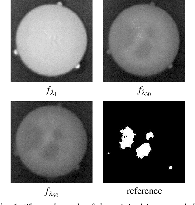 Figure 1 for Morphological segmentation of hyperspectral images