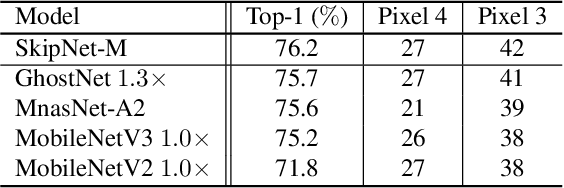 Figure 4 for Bias Loss for Mobile Neural Networks