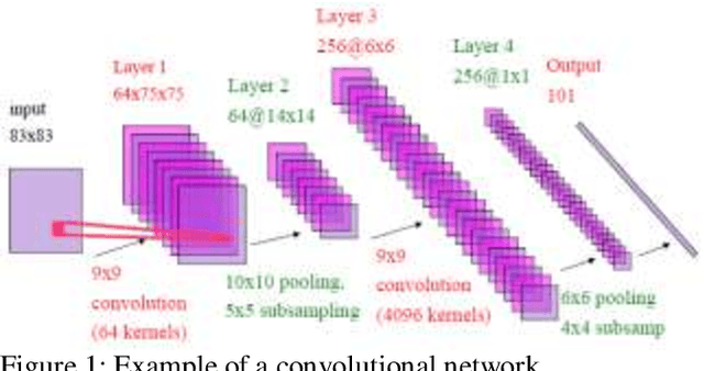 Figure 1 for Convolutional Neural Network and decision support in medical imaging: case study of the recognition of blood cell subtypes