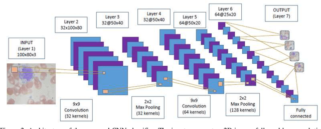 Figure 3 for Convolutional Neural Network and decision support in medical imaging: case study of the recognition of blood cell subtypes