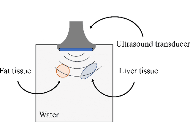Figure 2 for Nonlinear Waveform Inversion for Quantitative Ultrasound