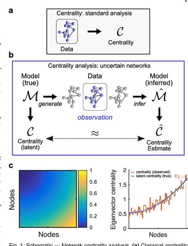 Figure 1 for Centrality measures for graphons: Accounting for uncertainty in networks