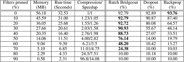 Figure 4 for Pruning Convolutional Filters using Batch Bridgeout