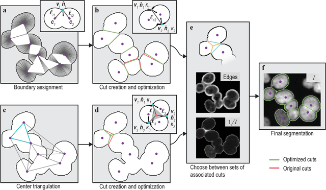 Figure 1 for Seed-Point Based Geometric Partitioning of Nuclei Clumps
