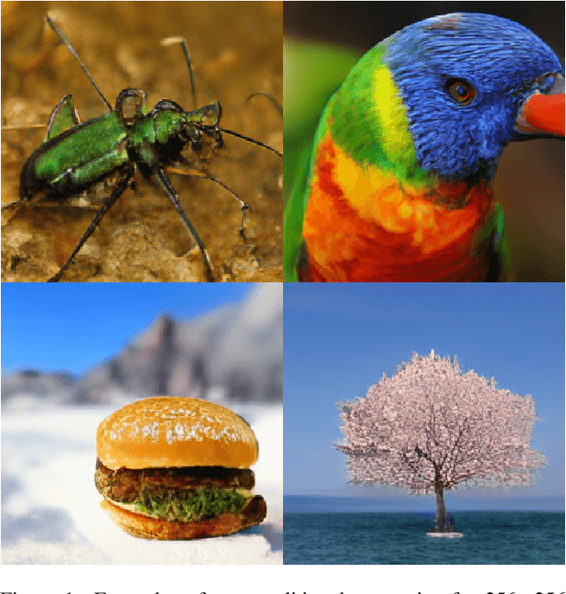 Figure 1 for Autoregressive Image Generation using Residual Quantization