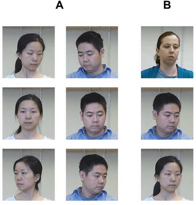 Figure 2 for Measuring and modeling the perception of natural and unconstrained gaze in humans and machines
