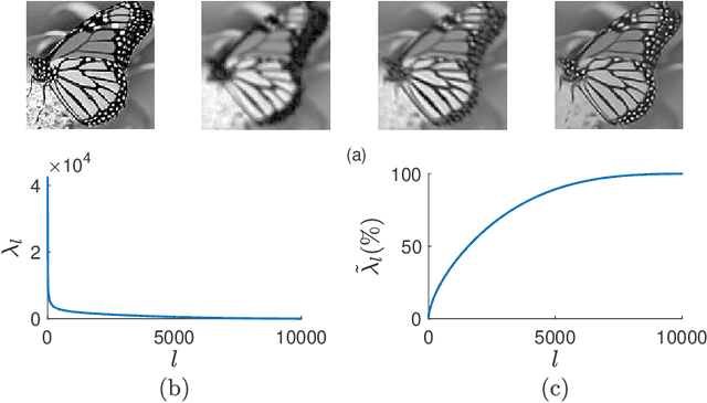 Figure 2 for A Patch-based Image Denoising Method Using Eigenvectors of the Geodesics' Gramian Matrix