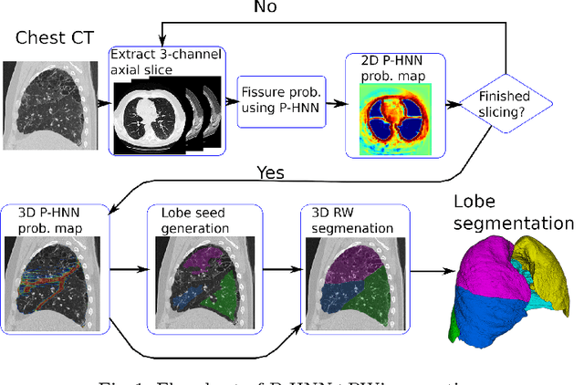 Figure 1 for Pathological Pulmonary Lobe Segmentation from CT Images using Progressive Holistically Nested Neural Networks and Random Walker