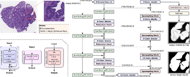 Figure 4 for Redesigning Fully Convolutional DenseUNets for Large Histopathology Images