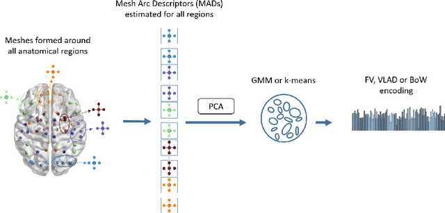 Figure 2 for Encoding the Local Connectivity Patterns of fMRI for Cognitive State Classification