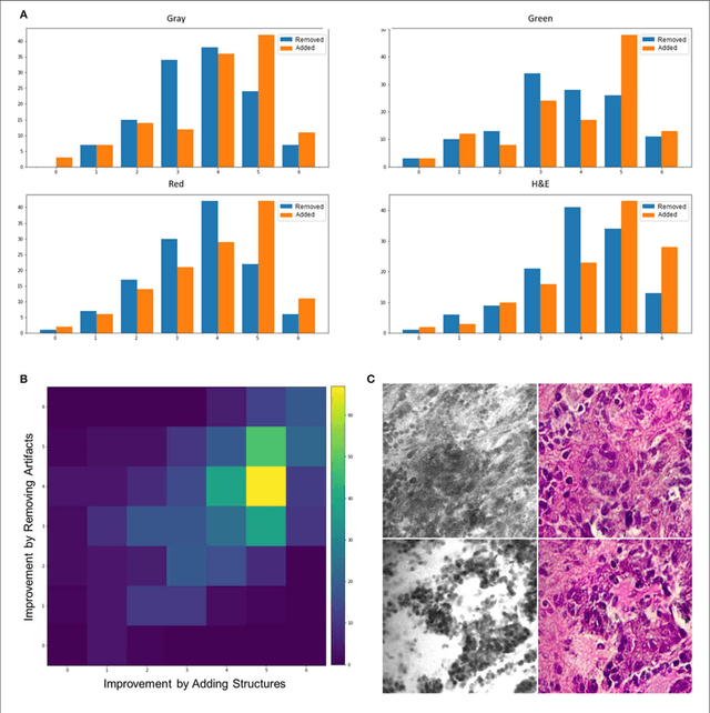 Figure 2 for Fluorescence Image Histology Pattern Transformation using Image Style Transfer