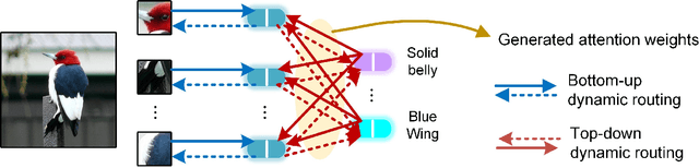 Figure 1 for Hybrid Routing Transformer for Zero-Shot Learning