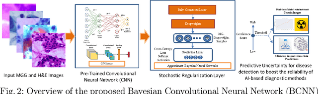 Figure 3 for Leveraging Uncertainty in Deep Learning for Pancreatic Adenocarcinoma Grading