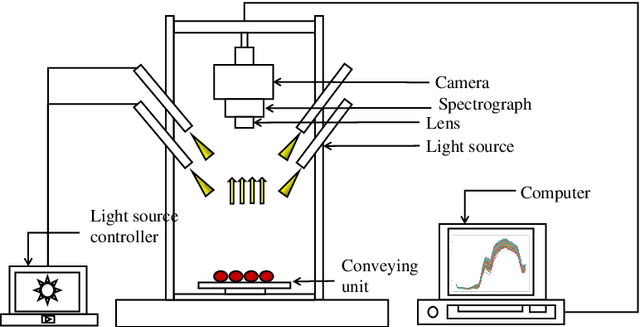 Figure 1 for Hyperspectral Imaging for cherry tomato