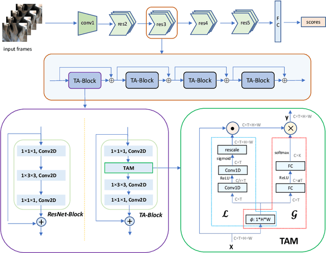 Figure 3 for TAM: Temporal Adaptive Module for Video Recognition