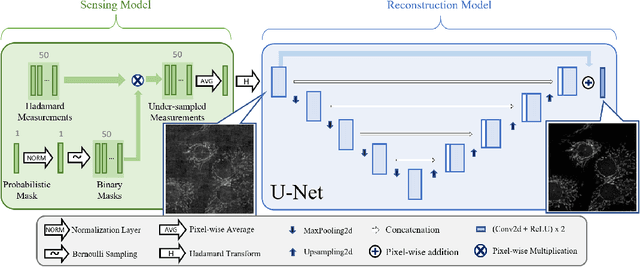 Figure 1 for Joint Optimization of Hadamard Sensing and Reconstruction in Compressed Sensing Fluorescence Microscopy