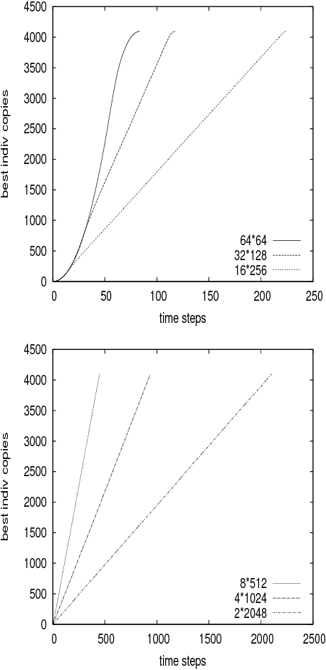 Figure 1 for Anisotropic selection in cellular genetic algorithms