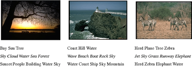 Figure 1 for Modeling Loosely Annotated Images with Imagined Annotations