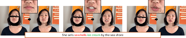 Figure 1 for Text-based Editing of Talking-head Video