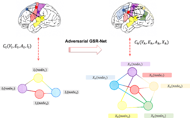 Figure 1 for Brain Graph Super-Resolution Using Adversarial Graph Neural Network with Application to Functional Brain Connectivity