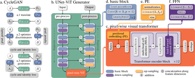 Figure 1 for UVCGAN: UNet Vision Transformer cycle-consistent GAN for unpaired image-to-image translation