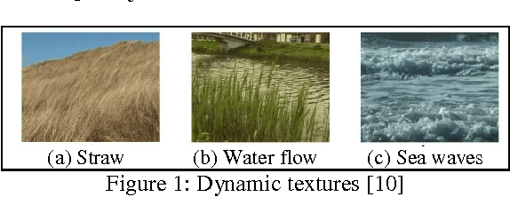 Figure 1 for Block Motion Based Dynamic Texture Analysis: A Review