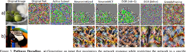 Figure 3 for Neural Response Interpretation through the Lens of Critical Pathways