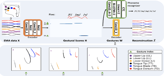 Figure 1 for Deep Neural Convolutive Matrix Factorization for Articulatory Representation Decomposition