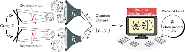 Figure 1 for Representation Theory for Geometric Quantum Machine Learning