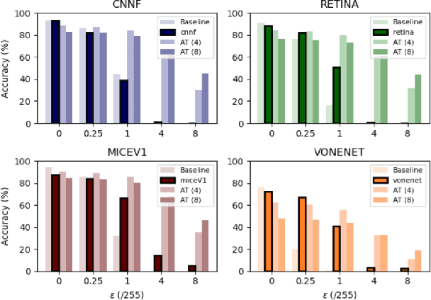 Figure 1 for Empirical Advocacy of Bio-inspired Models for Robust Image Recognition