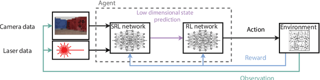 Figure 1 for Low Dimensional State Representation Learning with Reward-shaped Priors