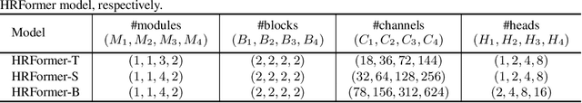Figure 4 for HRFormer: High-Resolution Transformer for Dense Prediction