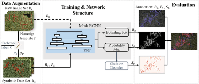 Figure 1 for Toward Robotic Weed Control: Detection of Nutsedge Weed in Bermudagrass Turf Using Inaccurate and Insufficient Training Data