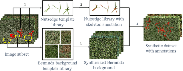 Figure 3 for Toward Robotic Weed Control: Detection of Nutsedge Weed in Bermudagrass Turf Using Inaccurate and Insufficient Training Data