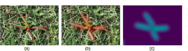 Figure 4 for Toward Robotic Weed Control: Detection of Nutsedge Weed in Bermudagrass Turf Using Inaccurate and Insufficient Training Data