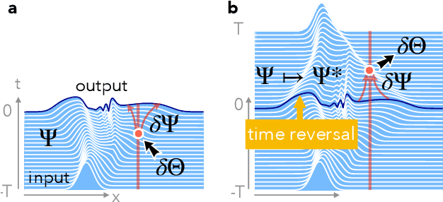 Figure 3 for Self-learning Machines based on Hamiltonian Echo Backpropagation