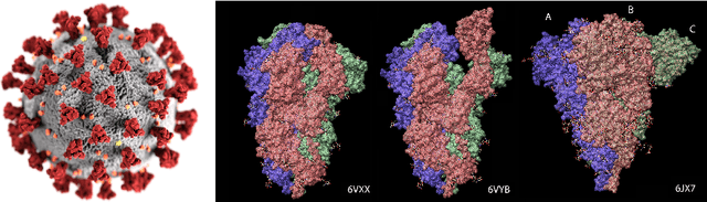 Figure 3 for Topological Data Analysis of COVID-19 Virus Spike Proteins