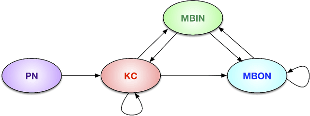 Figure 1 for Semiparametric spectral modeling of the Drosophila connectome