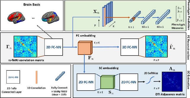 Figure 1 for A Matrix Autoencoder Framework to Align the Functional and Structural Connectivity Manifolds as Guided by Behavioral Phenotypes