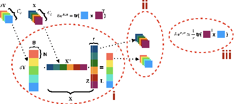Figure 1 for Low-memory stochastic backpropagation with multi-channel randomized trace estimation